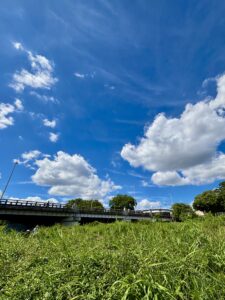 北大路橋の下から